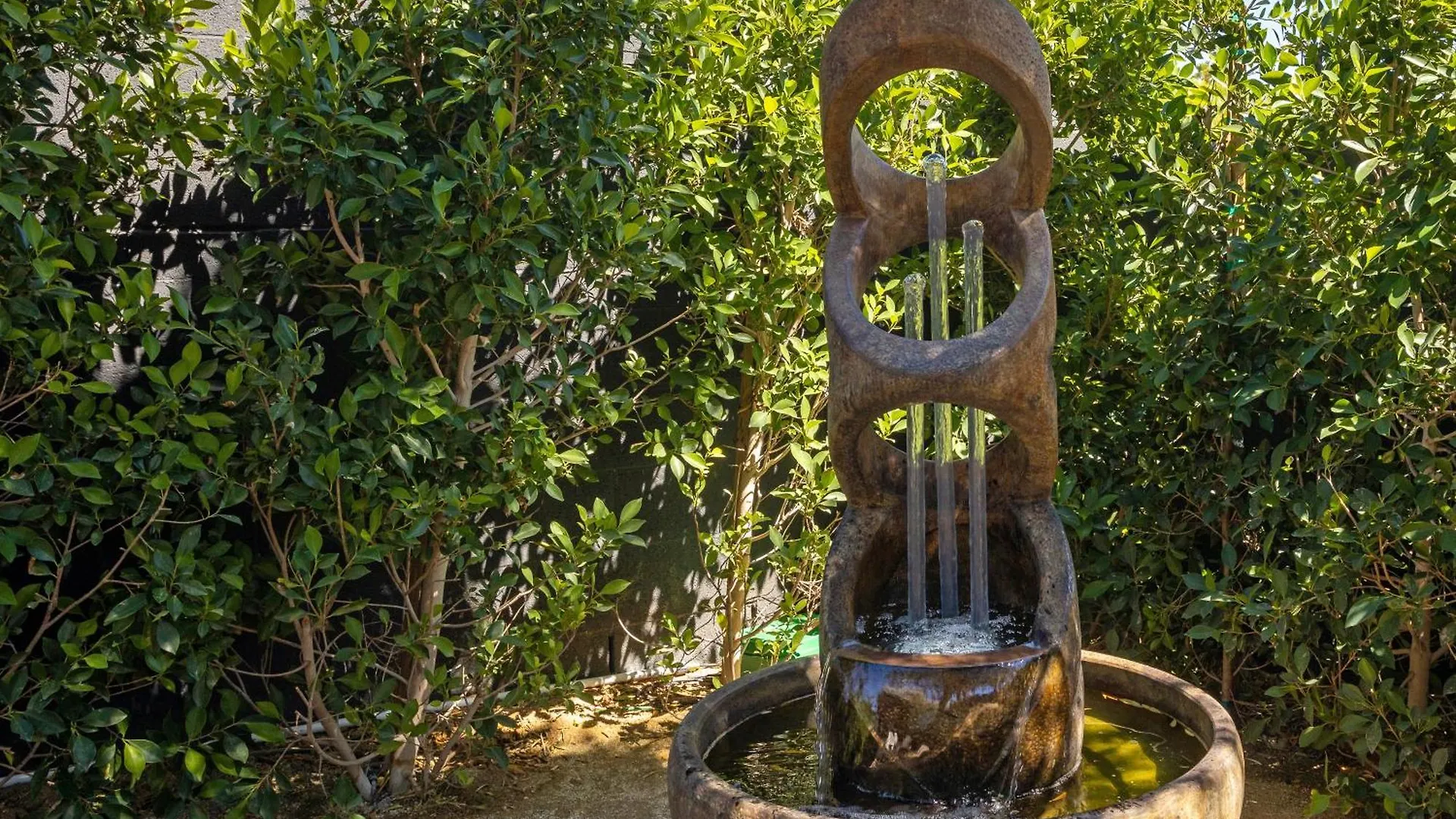 My Kind Of Zen By Acme House Company Villa Palm Springs
